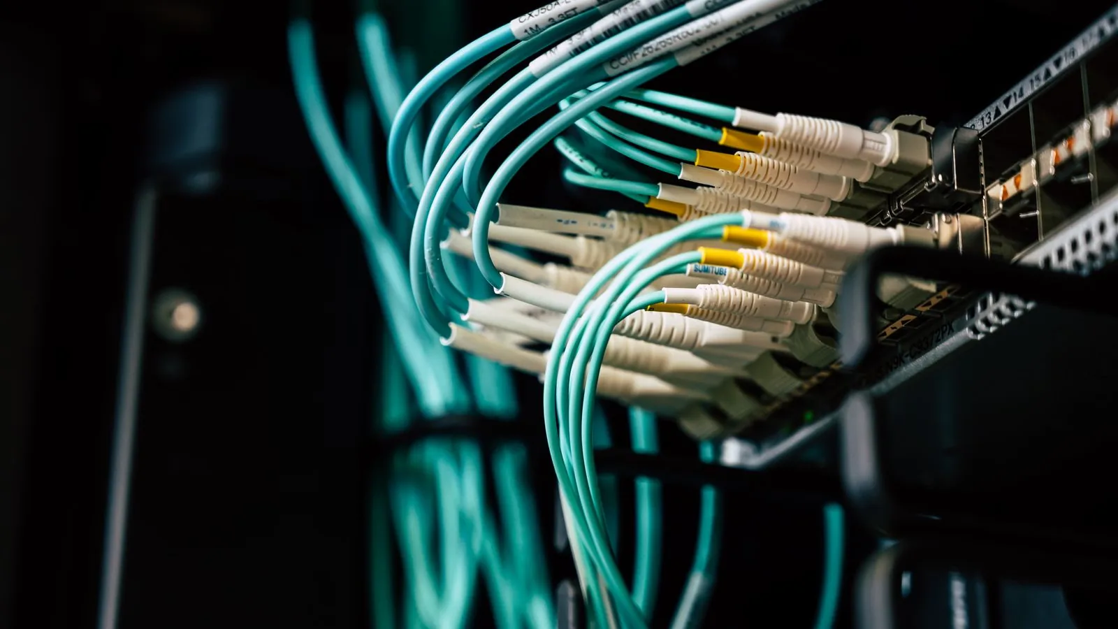 Network cables plugged into a server rack